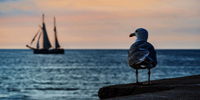 Nicht fündig geworden? Melden Sie sich bei uns! • Möbel Schulz Nicht fündig geworden? Melden Sie sich bei uns! • Möbel Schulz